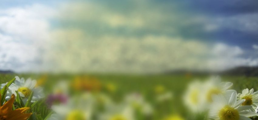 how to spot cataract symptoms this summer the optical studio designer eye frames