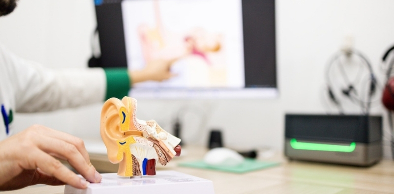 An audiologist with a model of an ear on their desk