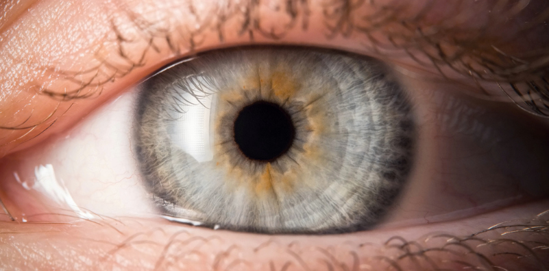 A close up of a grey coloured eye