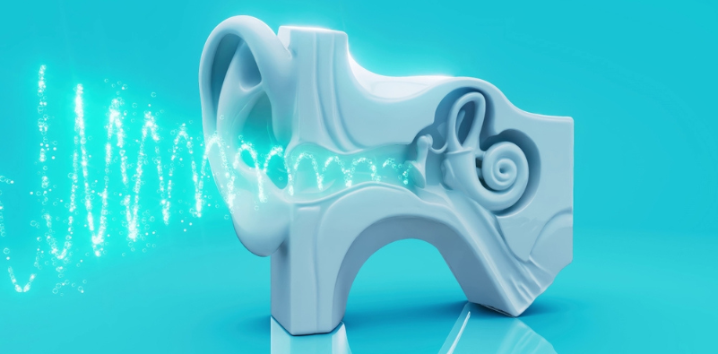 An image of a model of an ear with blue sound waves entering
